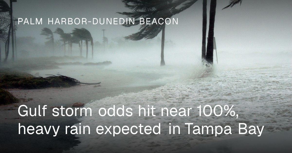 Gulf storm odds hit near 100%, heavy rain expected in Tampa Bay | Palm ...